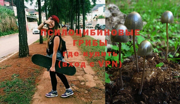мет Аркадак