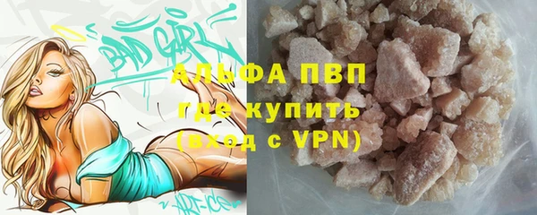 гидра Алексеевка