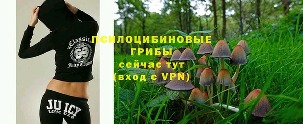 экстази Арсеньев